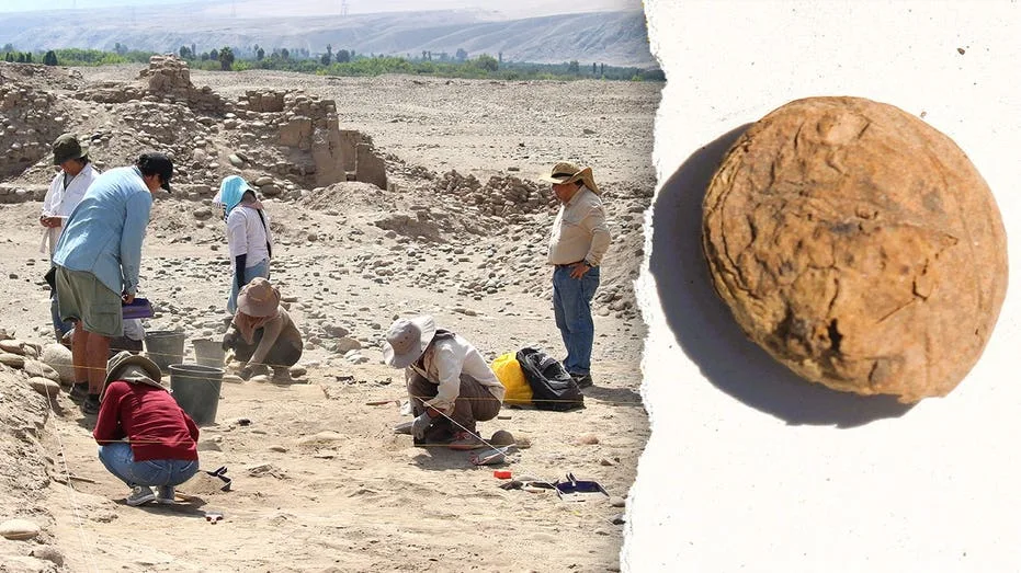 Peruvian Archaeologists Unearth 500-Year-Old Freeze-Dried Potatoes in Remarkable Condition