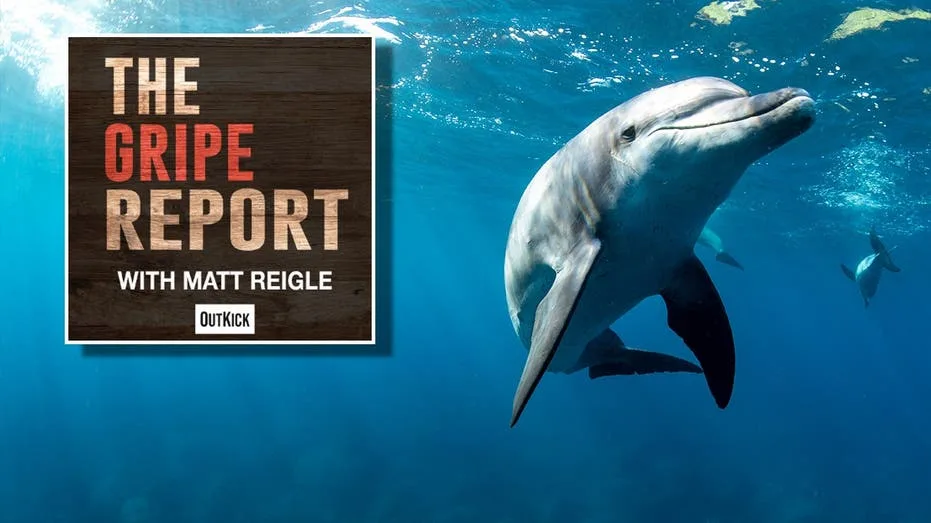Examining Common Animal Perceptions and Frustrations: From Dolphins' Untapped Potential to Bear Encounter Quandaries