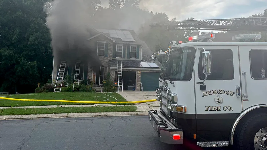Canine Accidentally Activates Toaster, Igniting Maryland House Fire That Claims Three Family Pets